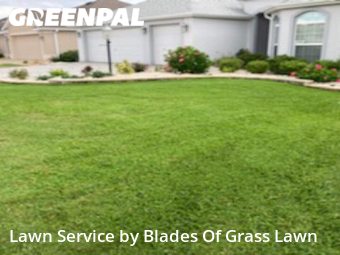 Grass Cut nearby Wildwood, FL, 