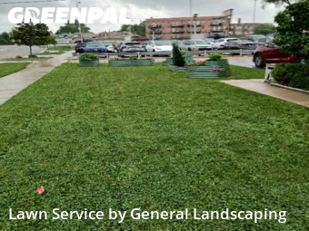 Lawn Maintenance in Elmwood Park, 60707, Mowing Services by General Landscaping , work completed in Nov , 2025
