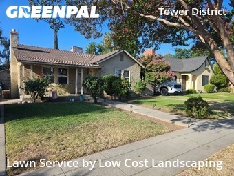 Grass Cut nearby Fresno, CA, 