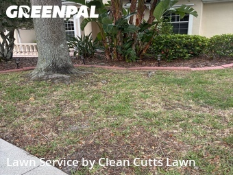 Grass Cut nearby Bradenton, FL, 
