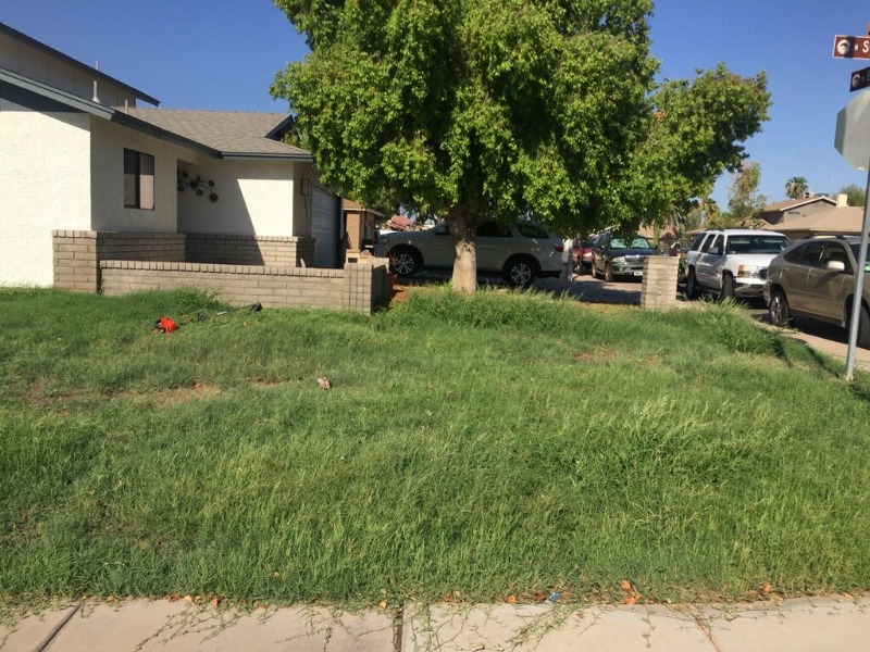 lawn-care-services-in-Queen Creek-AZ