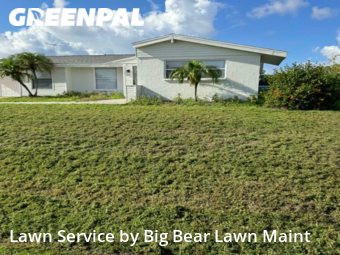 Grass Cut nearby Port Charlotte, FL, 