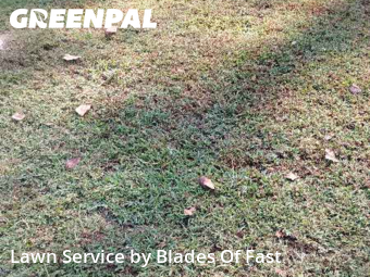 Lawn Maintenancein East Point,30344,Yard Cutting by Blades Of Fast, work completed in Feb , 2026