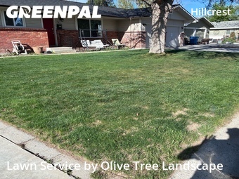Lawn mowed in Boise, 83705
