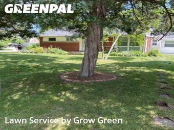 Turf Services in Bayside, 53217, Turf Services by Grow Green, work completed in Nov , 2025