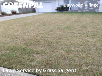 Lawn Mowing Servicein Palm Harbor,34683,Lawn Mowing by Grass Sargent, work completed in Feb , 2026