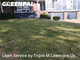Lawn Servicein Kansas City,64133,Grass Cut by Triple M Lawncare Llc, work completed in Nov , 2025