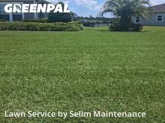 Yard Cutting nearby St. Augustine, FL, 