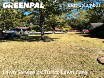 Lawn Care nearby Columbus, AL, 