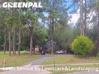 Grass Cutting nearby Gainesville, FL, 