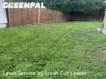 Lawn Mow nearby Converse, TX, 