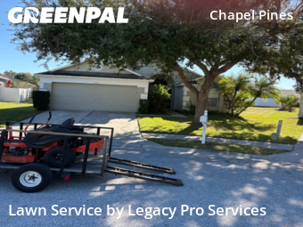 Yard Mowing nearby Wesley Chapel, FL, 