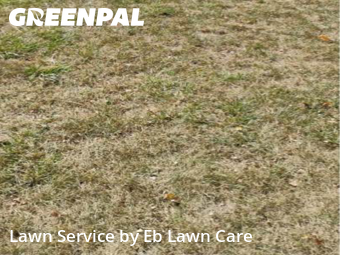 Grass Care in Mount Prospect, 60056, Backyard Mowing by Eb Lawn Care , work completed in Nov , 2025