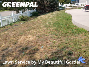 Lawn Cutting nearby Aurora, CO, 