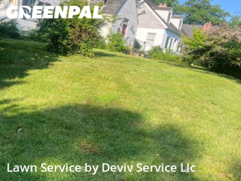 Yard Care Services in University Park, 20782, Yard Work by Deviv Service Llc, work completed in Oct , 2025