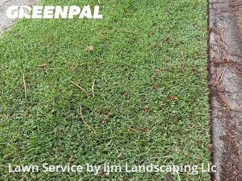 Yard Cutting nearby Edgewood, FL, 