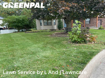 Grass Cut nearby East Moline, IA, 