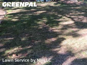 Yard Services in Norton Shores, 49441, Yard Maintenance by NIIILLC, work completed in Nov , 2025