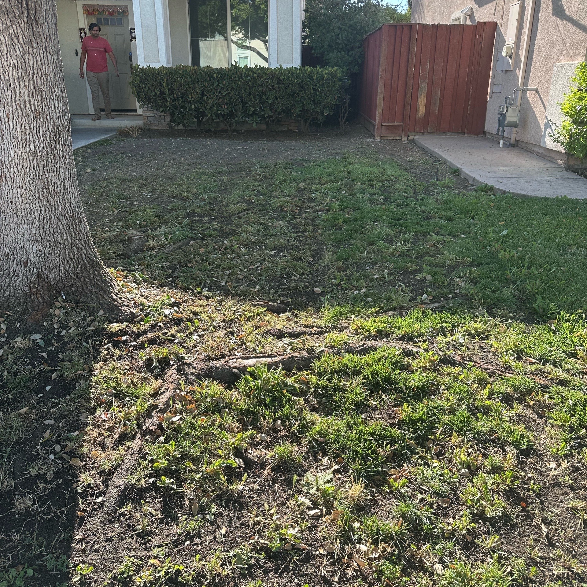 Lawn mowing work by Aj's Landscaping in Modesto, CA