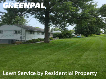 Lawn Maintenance nearby Knoxville, TN, 