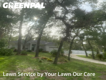Lawn Cutting nearby Temple Terrace, FL, 