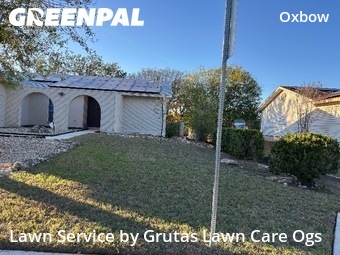 Lawn Cut in San Antonio, 78249, Lawn Mowing Service by Grutas Lawn Care Ogs, work completed in 26 Nov, 2025 