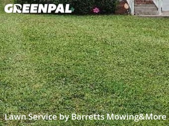 Grass Cut nearby Clarksville, TN, 