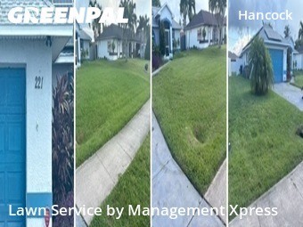 Yard Cutting nearby Cape Coral, FL, 