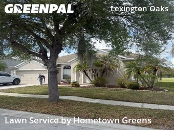 Grass Cutting nearby Zephyrhills, FL, 