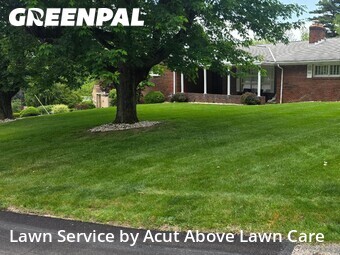 Lawn Cut nearby Bethel Park, PA, 