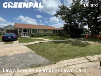 Lawn Cut nearby New Orleans, LA, 