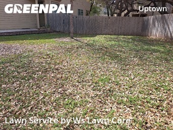 Lawn Cut nearby San Antonio, TX, 