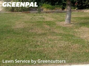 Lawn Cut nearby Pflugerville, TX, 