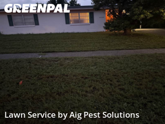 Lawn Mowing nearby Spring Hill, FL, 