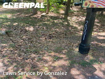 Grass Cutting nearby Clayton, NC, 