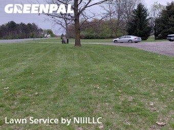 Lawn Cut nearby Hopkins, MI, 