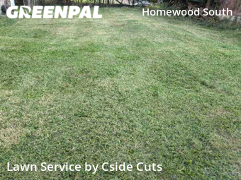 Grass Cut nearby Pittsburgh, PA, 