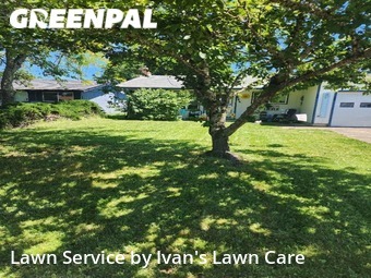 Yard Cutting nearby Albany, OR, 