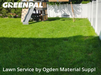 Lawn Cut nearby Elmhurst, IL, 