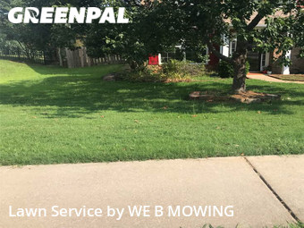 Lawn Mow nearby Rock Hill, SC, 