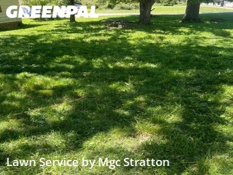 Lawn Care nearby Parma, OH, 