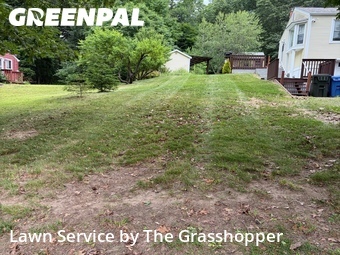 Lawn mowed in Tolland, 6084