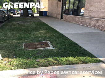 Yard Cutting nearby Chicago, IL, 