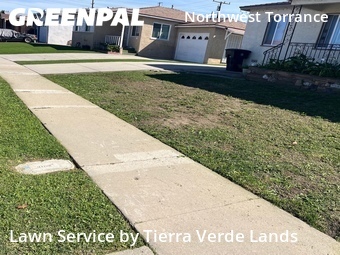 Lawn Cut nearby Torrance, CA, 