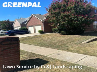 Grass Cut nearby Garland, TX, 