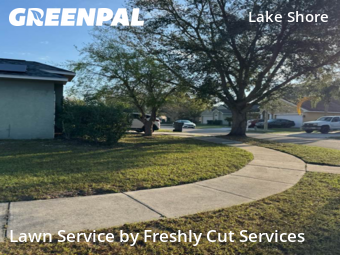 Yard Mowing nearby Seffner, FL, 