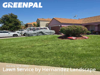 Work completed by local-lawn-care-services-in-Perris-CA
