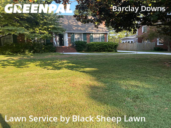 Yard Cutting nearby Charlotte, NC, 