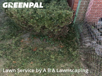 Lawn Cutting nearby Warren, MI, 