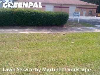 Lawn Cut nearby Ocala, FL, 